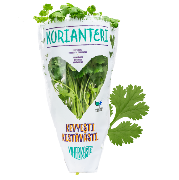Ruukkukorianteri