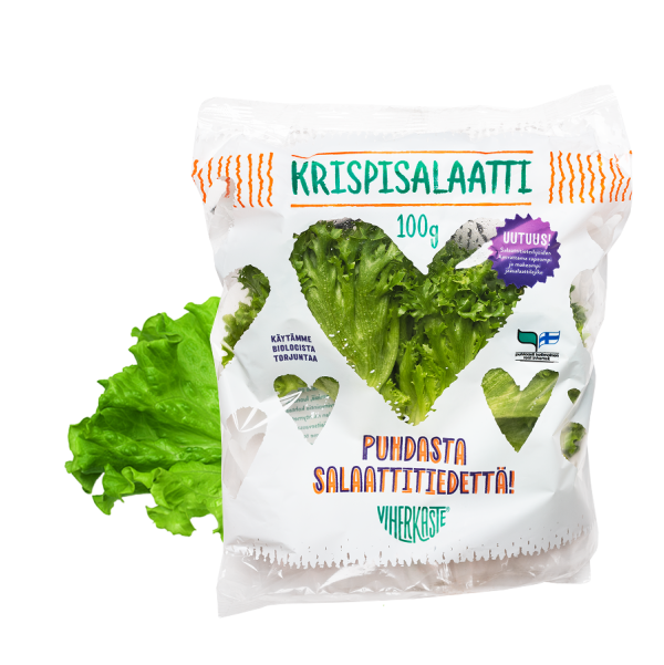 Krispisalaatti